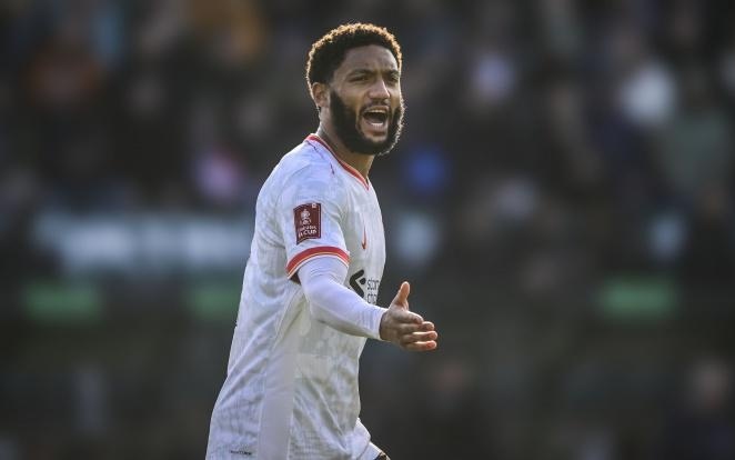 越来越多的 越来越多的