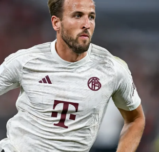 仅展现了他 仅展现了他